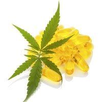 qld-nsw-cannabis Queensland and New South Wales Medical Cannabis
