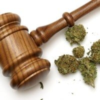 medicinal-marijuana-prosecutions Medicinal marijuana prosecutions