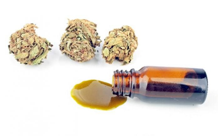 cannabis-oil-georgia Cannabis oil in Georgia