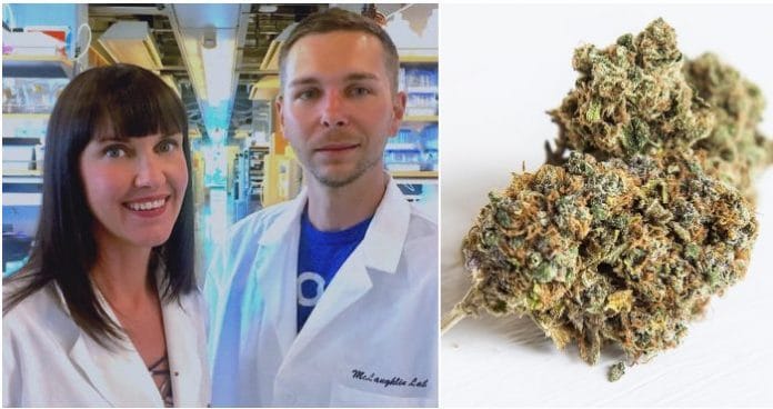 cannabis-well-being Cannabis and well-being