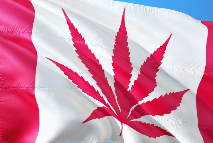 canada-cannabis-statistics Medicinal cannabis sales in Canada