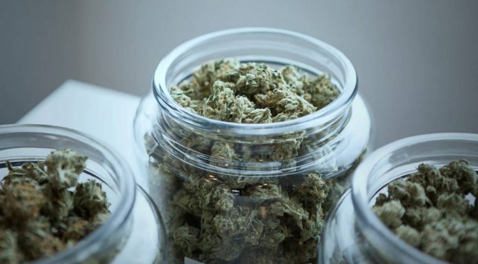 ohio-medical-marijuana Ohio medical marijuana statistics