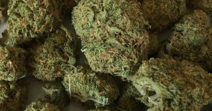 new-hampshire-cannabis Medical Cannaibis in New Hampshire